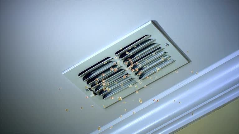 Best Local Air Duct Cleaning Services  in Tazewell, VA