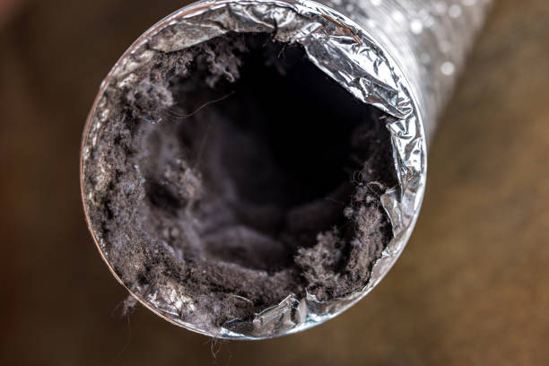 Best Ductwork Cleaning Services  in Tazewell, VA